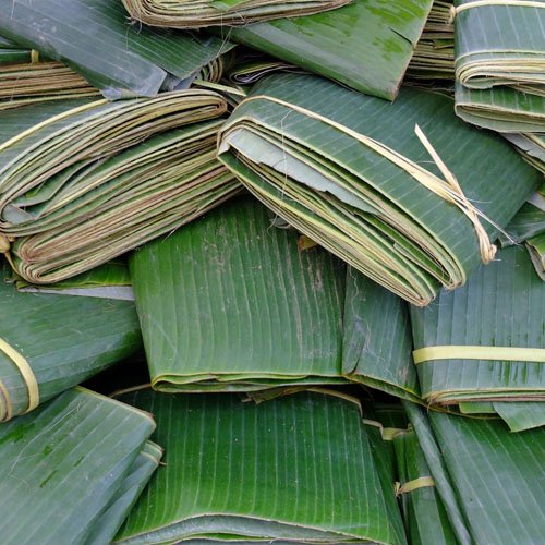 Banana Leaf