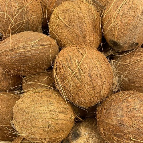 Coconut