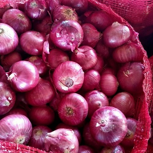 Small Onion